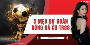 5 Mẹo Dự Đoán Bóng Đá Cơ Bản Dành Cho Tân Binh Từ TR88