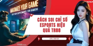 Cách Soi Chỉ Số Esports Hiệu Quả Cho Tân Thủ TR88 2025